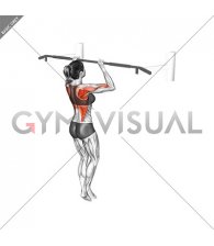 Top Pull-up Hold (female)