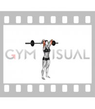 Barbell Standing Overhead Triceps Extension (female)