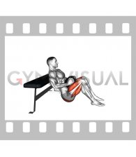 Dumbbell Hip Thrust (VERSION 2)