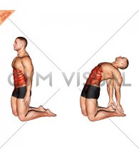 Backward Abdominal Stretch