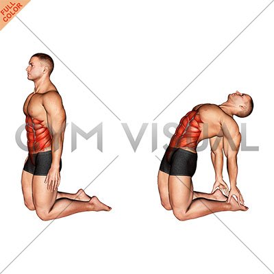 abdominal stretch