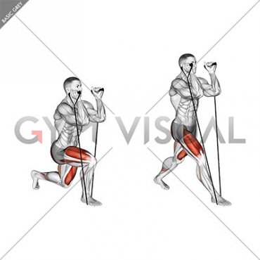 Band Split Squat