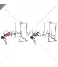 Band Bent Over Lat Pulldown