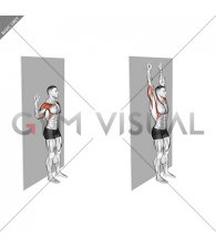 Bodyweight Standing Military Press Wall Supported