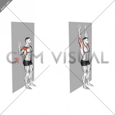 Bodyweight Standing Military Press Wall Supported