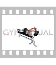 Dumbbell Lying One Arm Deltoid Rear