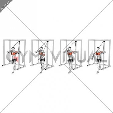 Band Low Alternate Chest Press (male)