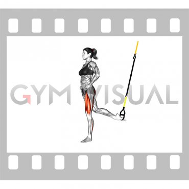 Suspender Single Leg Split Squat (female)