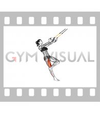 Suspender Single Leg Squat (female) (figure)