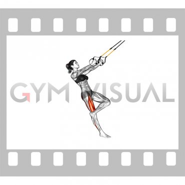 Suspender Single Leg Squat (female) (figure)