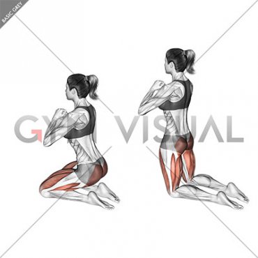 Kneeling Hip Thrust (female)