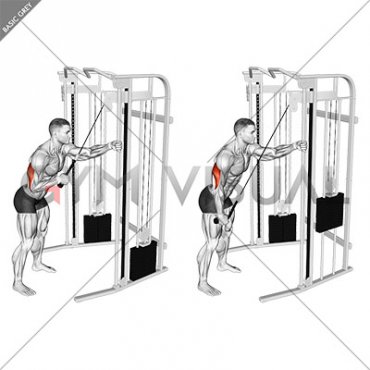 Cable Single Arm Triceps Pushdown (Rope Attachment)