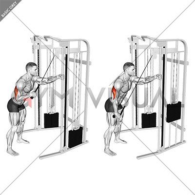 triceps cable pushdown