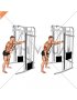 Cable Single Arm Triceps Pushdown (Rope Attachment)