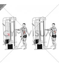 Cable Standing One Arm Hammer Curl with Rope Attachment