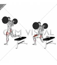 Barbell One Leg Squat