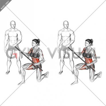 Stick Assisted Isometric Core (female)