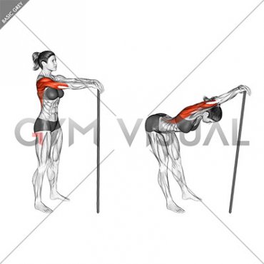 Stick Lat Stretch (female)