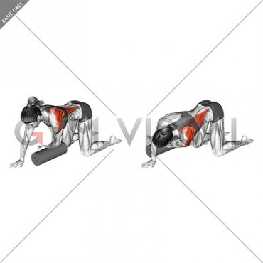 Roll Kneeling Upper Back Rotation (female)