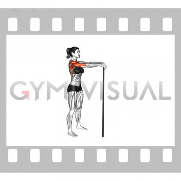 Stick Lat Stretch (female)