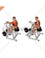 Lever Single Arm Neutral Grip Seated Row (plate loaded)