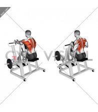 Lever Neutral Grip Seated Row (plate loaded)