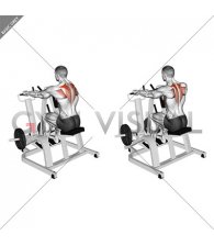 Lever Pronated Grip Seated Scapular Retraction Shrug (plate loaded)