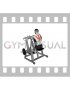 Lever Pronated Grip Seated Scapular Retraction Shrug (plate loaded)