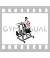 Lever Pronated Grip Seated Scapular Retraction Shrug (plate loaded)