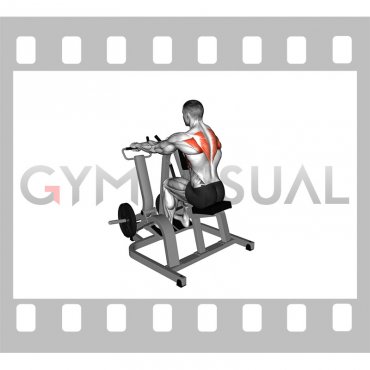 Lever Pronated Grip Seated Scapular Retraction Shrug (plate loaded)