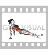 Reverse Plank (female)