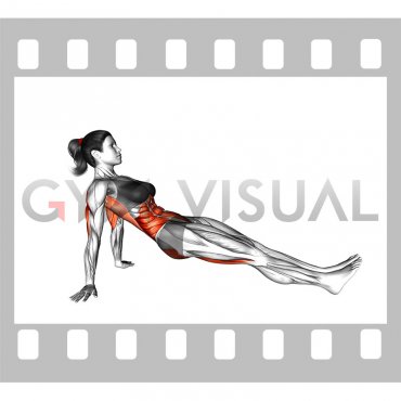 Reverse Plank (female)