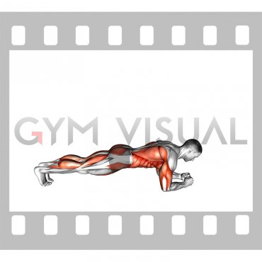 Front Plank with Arm and Leg Lift (male)