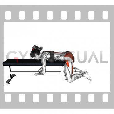 Frog Reverse Hyperextension (on a bench) (female)
