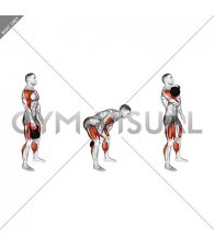 Kettlebell Hang Clean