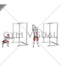 Band Squat Twist