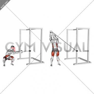 Band Squat Twist