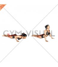 Cobra Yoga Pose (female)