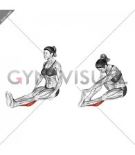 Seated Calf Stretch (female)