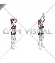Bodyweight Overhead Triceps Extension (female)