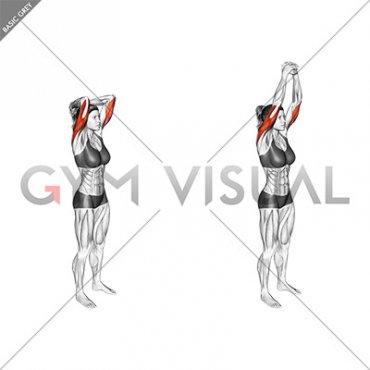 Bodyweight Overhead Triceps Extension (female)