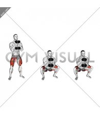 Dumbbell Goblet 2 sec Hold Squat