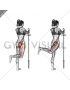 Standing Hip Extension (bent knee)