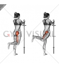 Standing Hip Extension (bent knee)