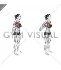 Chest Out Hands Behind (Hold) (female)