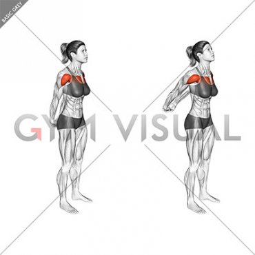 Chest Out Hands Behind (Hold) (female)