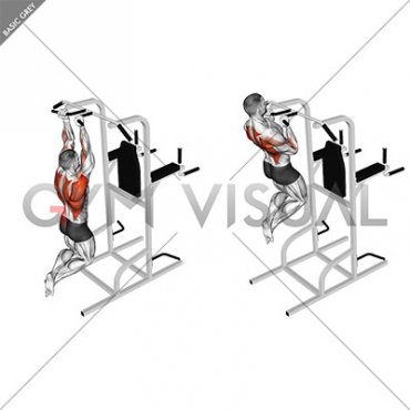 Supinated Narrow Grip Pull-up