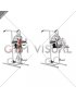 Vertical Leg Raise (on parallel bars) (male)