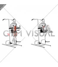 Vertical Leg Raise (on parallel bars) (male)
