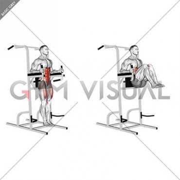 Vertical Leg Raise (on parallel bars) (male)